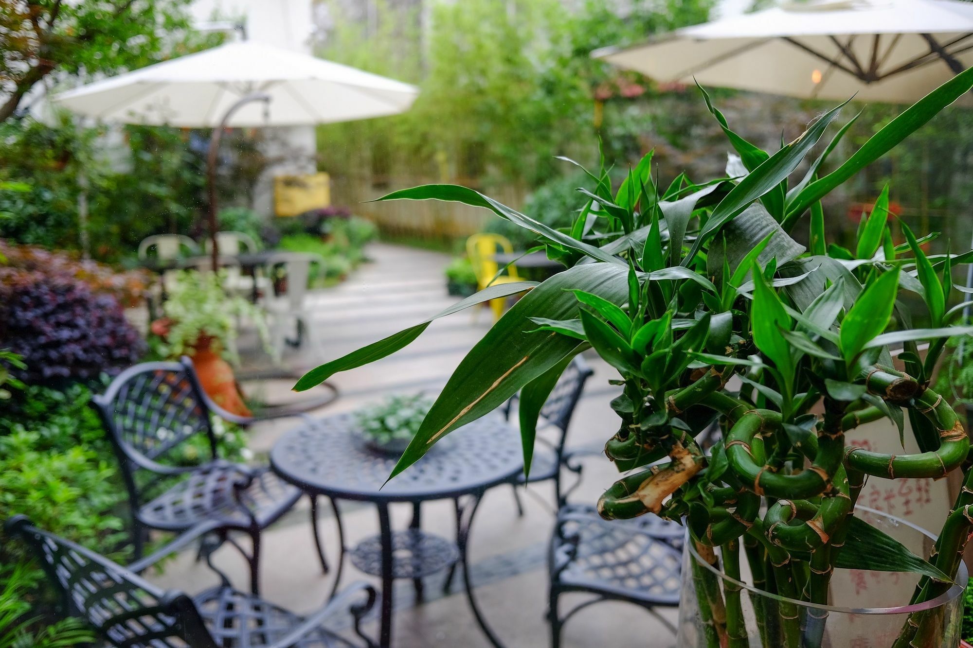 Suzhou Homa Garden Hotel Buitenkant foto